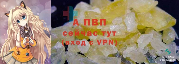 сатива Армянск