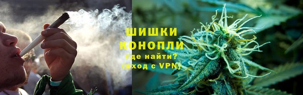 сатива Армянск