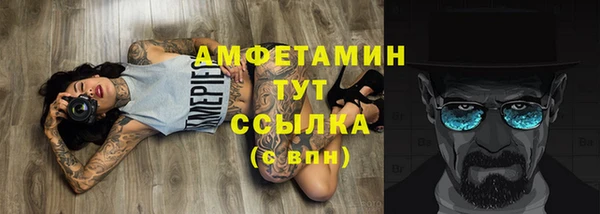 сатива Армянск