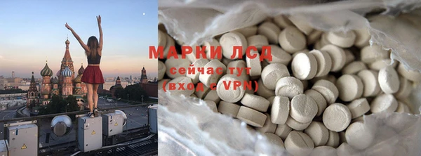 сатива Армянск