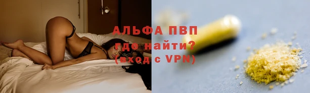 спайс Аркадак
