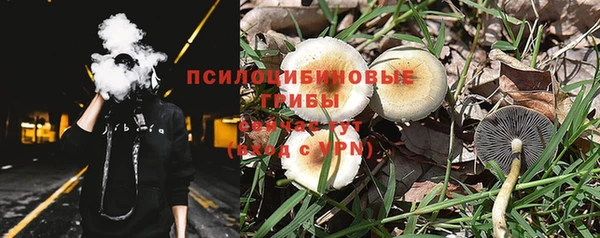 спайс Аркадак