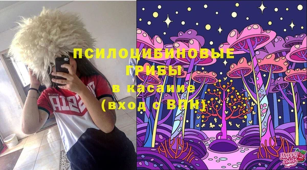 ешки Медногорск