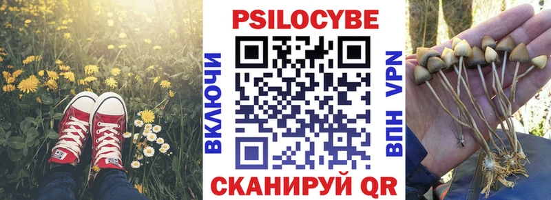 Галлюциногенные грибы Magic Shrooms  Грязовец 